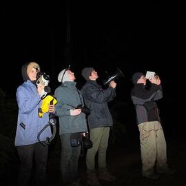 Night Watch in Toolangi Forest